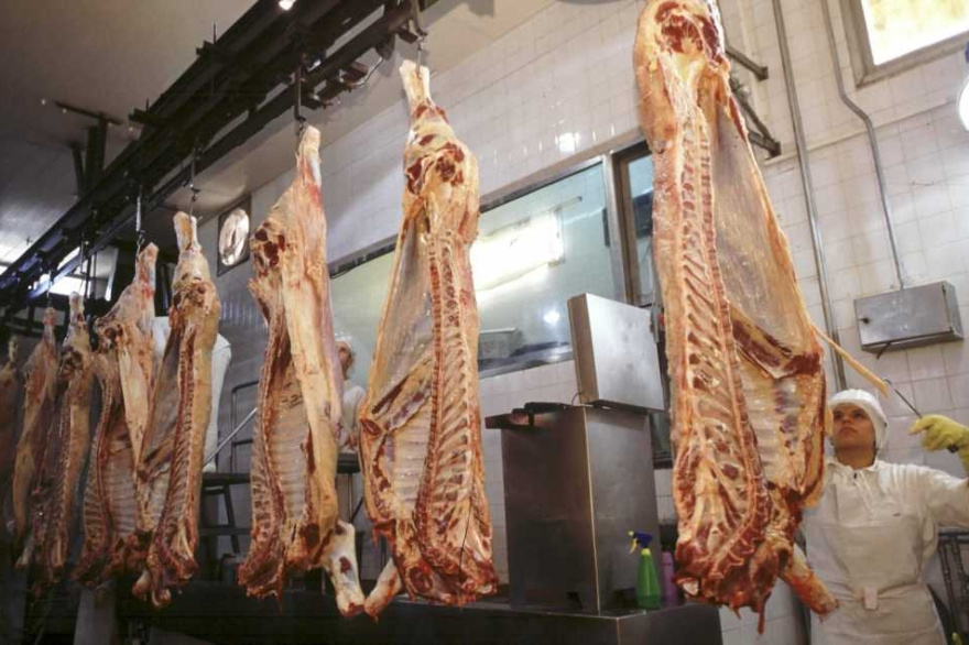 Decisión de alto impacto: Nación permitirá el ingreso de asado con hueso a  la Patagonia - Critica Sur