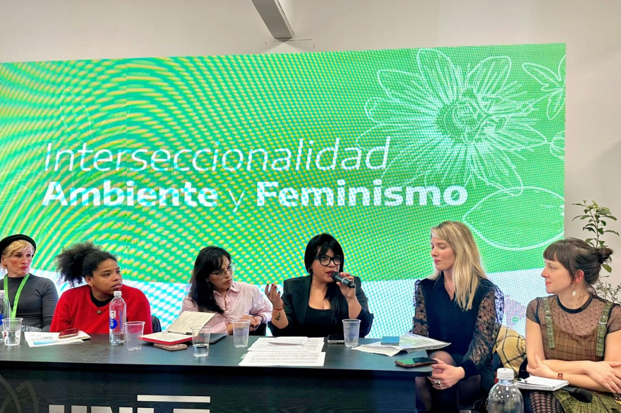 Duré disertó en el ‘Congreso Agenda Ambiental Latinoamericana’ y pidió por la libertad de Cristina Fernández