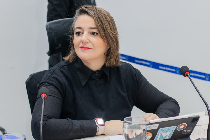 “Tenemos la oportunidad histórica de reformar la Constitución con una mirada amplia", valoró Lucía Rossi