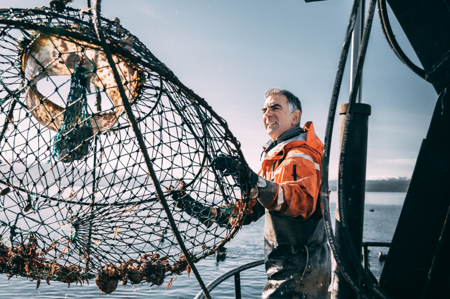 Del fin del mundo al paladar global: la ruta de la pesca artesanal