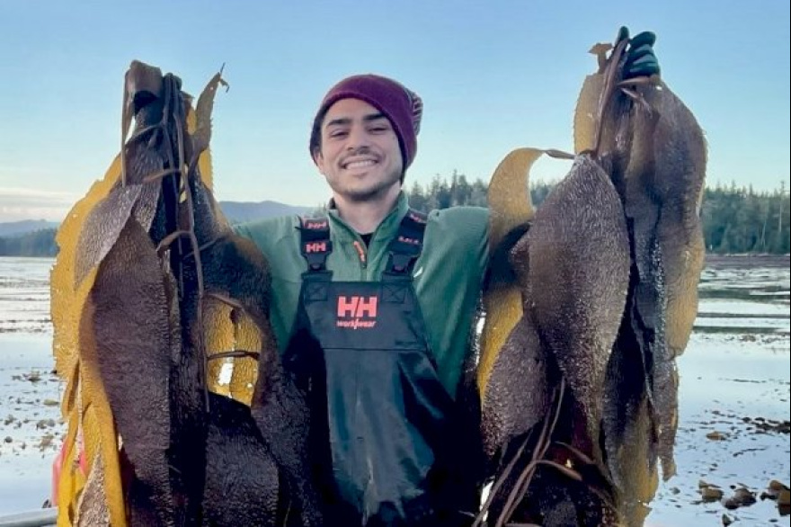 Saberes ancestrales de Vancouver sobre el alga kelp: ¿un modelo posible para Tierra del Fuego?