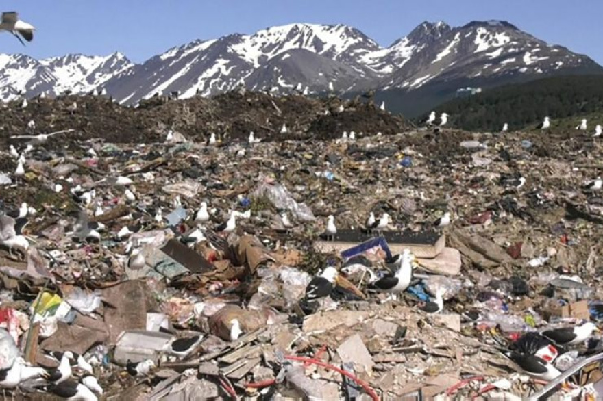 El basurero de Ushuaia, bajo la lupa de la investigación por el brote de hantavirus del crucero