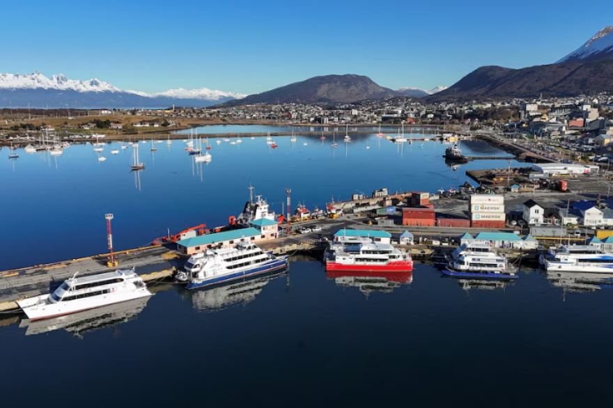 Captura de roedores, trampas y rastreo epidemiológico: así es el operativo del Malbrán que ya comenzó en Ushuaia por el hantavirus