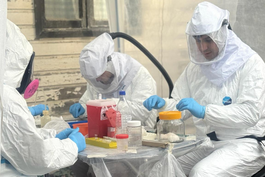 El Gobierno fueguino y el Malbrán concluyeron el operativo de vigilancia por hantavirus en UshuaiaHantavirus en el crucero: por qué el Malbrán sólo investiga en Ushuaia y no en otros lugares