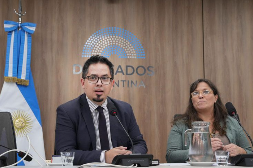 Pauli dijo que "sería mucho más útil en un estamento ejecutivo que en un estamento legislativo"