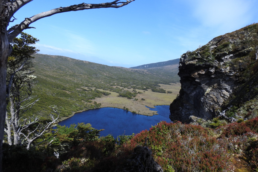 Reserva Provincial Isla de los Estados: el desafío de proteger un lugar remoto y extraordinario