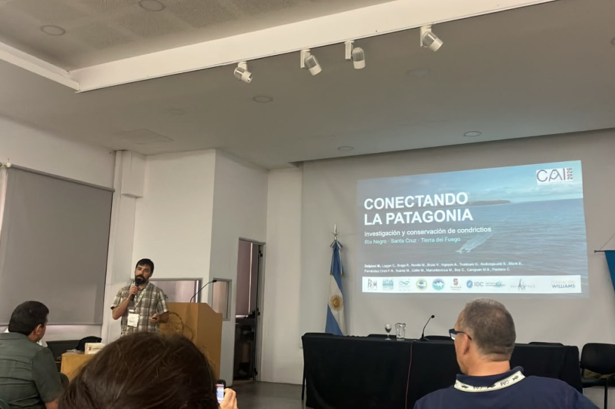 Tiburones fueguinos en el primer Congreso Argentino de Ictiología